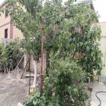 Satılır 6 otaqlı Həyət evi/villa Sumqayıt 4