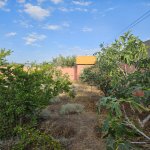 Satılır 1 otaqlı Bağ evi, Türkan, Xəzər rayonu 9
