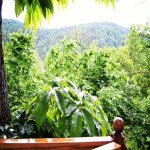 Kirayə (günlük) 3 otaqlı Həyət evi/villa Zaqatala 27