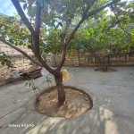 Satılır 4 otaqlı Həyət evi/villa Xırdalan 15