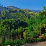 Kirayə (günlük) 3 otaqlı Həyət evi/villa Lerik 7