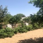 Satılır 4 otaqlı Bağ evi, Bilgəh qəs., Sabunçu rayonu 8
