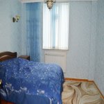 Kirayə (aylıq) 6 otaqlı Həyət evi/villa, Səbail rayonu 29