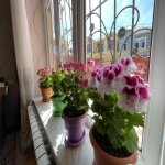 Satılır 4 otaqlı Həyət evi/villa Xırdalan 7