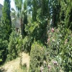 Kirayə (aylıq) 4 otaqlı Həyət evi/villa, Mərdəkan, Xəzər rayonu 17
