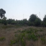 Satılır Torpaq, Saray, Abşeron rayonu 6