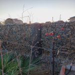 Satılır 4 otaqlı Həyət evi/villa, Lökbatan qəs., Sədərək ticarət mərkəzi, Qaradağ rayonu 24
