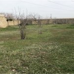 Satılır Torpaq, Saray, Abşeron rayonu 2