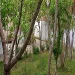 Satılır 3 otaqlı Həyət evi/villa, Koroğlu metrosu, Zabrat qəs., Sabunçu rayonu 9