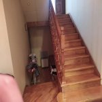 Satılır 4 otaqlı Həyət evi/villa, Azadlıq metrosu, 8-ci mikrorayon, Binəqədi rayonu 5