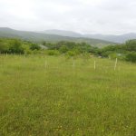 Продажа Участок Исмаиллы 5