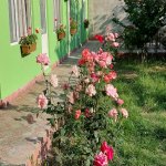 Посуточно 2 комнат Дача Губа 1