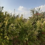Satılır 5 otaqlı Həyət evi/villa, Masazır, Abşeron rayonu 7