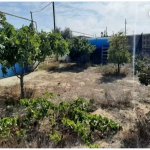 Satılır 2 otaqlı Bağ evi, Kürdəxanı qəs., Sabunçu rayonu 13