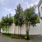 Satılır 5 otaqlı Həyət evi/villa, Xətai rayonu 9