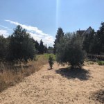 Satılır Torpaq, Badamdar qəs., Səbail rayonu 3