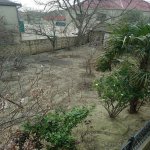 Satılır Torpaq, Saray, Abşeron rayonu 1