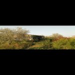 Satılır Torpaq, Koroğlu metrosu, Maştağa qəs., Sabunçu rayonu 5