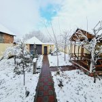 Kirayə (günlük) 3 otaqlı Həyət evi/villa Qəbələ 5