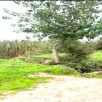 Продажа Объект Хачмаз 30