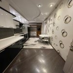 Kirayə (aylıq) 2 otaqlı Yeni Tikili, 28 May metrosu, Nəsimi rayonu 9