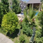 Kirayə (aylıq) 2 otaqlı Bağ evi, Mərdəkan, Xəzər rayonu 7