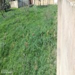 Satılır 2 otaqlı Həyət evi/villa, Masazır, Abşeron rayonu 10