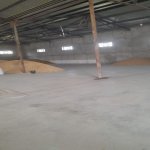 Kirayə (aylıq) Obyekt Cəlilabad 4