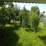 Kirayə (günlük) 2 otaqlı Bağ evi İsmayıllı 6