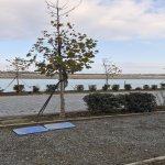 Продажа 2 комнатная Новостройка, İnşaatçılar метро, пос. Ясамал, Ясамал район 16