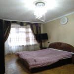 Аренда 1 комнатная Вторичка, м. Эльмляр Академиясы метро, Ясамал район 4