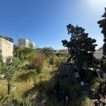 Satılır Torpaq, Mərdəkan, Xəzər rayonu 6