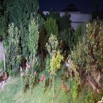 Satılır 3 otaqlı Həyət evi/villa, Koroğlu metrosu, Zabrat qəs., Sabunçu rayonu 18