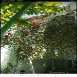 Satılır 4 otaqlı Həyət evi/villa, 20 Yanvar metrosu, Biləcəri qəs., Binəqədi rayonu 17
