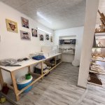 Satılır 4 otaqlı Həyət evi/villa, Maştağa qəs., Sabunçu rayonu 11