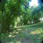 Satılır 3 otaqlı Bağ evi Zaqatala 6
