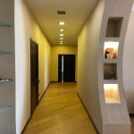 Kirayə (aylıq) 3 otaqlı Yeni Tikili, 28 May metrosu, Nəsimi rayonu 9