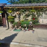 Kirayə (aylıq) 4 otaqlı Bağ evi, Buzovna, Xəzər rayonu 6