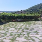 Kirayə (günlük) 2 otaqlı Həyət evi/villa Qax 2
