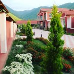 Kirayə (günlük) 7 otaqlı Həyət evi/villa Qax 2