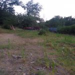 Satılır Torpaq Qəbələ 3