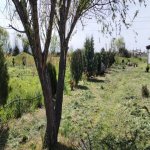 Продажа Участок Хачмаз 40