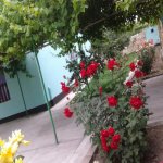 Kirayə (günlük) 2 otaqlı Bağ evi Xaçmaz / Nabran 2