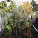 Satılır 2 otaqlı Köhnə Tikili, Memar Əcəmi metrosu, 5-ci mikrorayon, Nəsimi rayonu 1