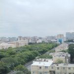 Продажа 4 комнат Новостройка, м. 28 Мая метро, Насими район 17