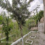 Satılır 5 otaqlı Həyət evi/villa, Koroğlu metrosu, Maştağa qəs., Sabunçu rayonu 7