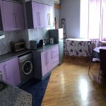 Kirayə (aylıq) 2 otaqlı Yeni Tikili, 28 May metrosu, Nəsimi rayonu 10