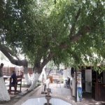 Kirayə (aylıq) Obyekt, Neftçilər metrosu, 8-ci kilometr, Nizami rayonu 5