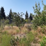 Satılır Torpaq, Novxanı, Abşeron rayonu 4