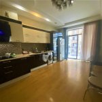 Kirayə (aylıq) 3 otaqlı Yeni Tikili, Gənclik metrosu, Dədə Qorqud parkı, Nərimanov rayonu 11